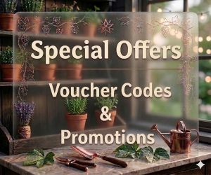 Discount Vouchers Codes And Offers